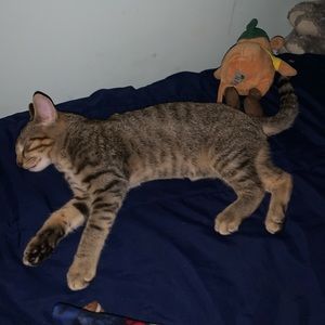 Meet your Posher, Rocio